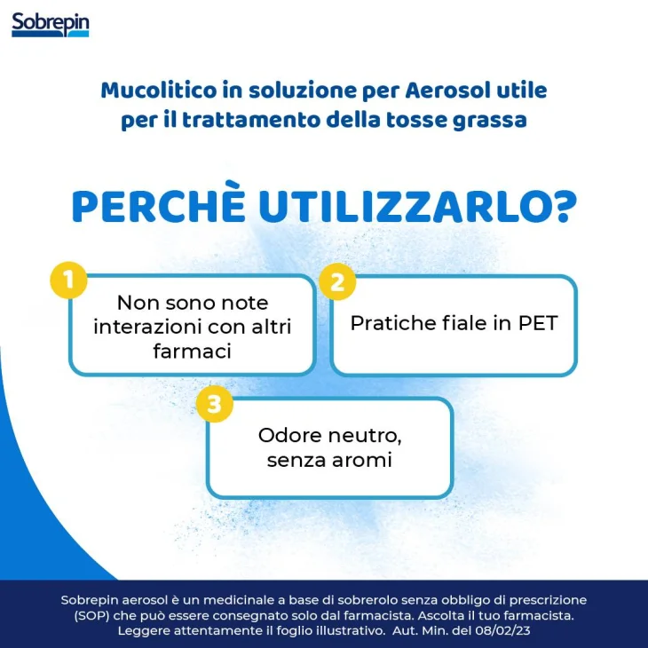 Sobrepin Aerosol soluzione da nebulizzare 10 flaconcini da 3 ml