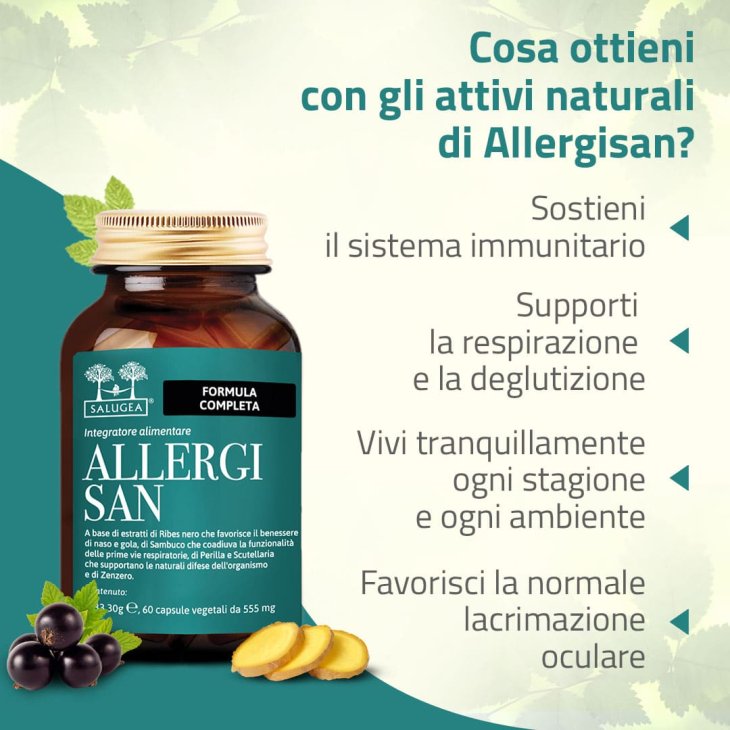 Salugea Allergisan Integratore Naturale per Persone Sensibili agli Allergeni 60 capsule