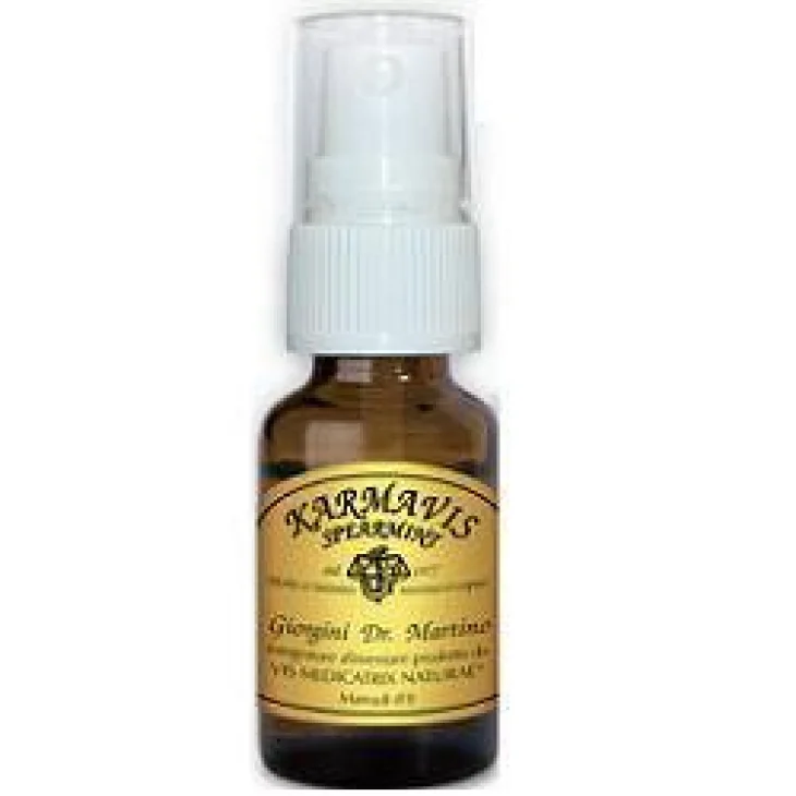 Karmavis Spearmint Spray contro l'alitosi 15 ml