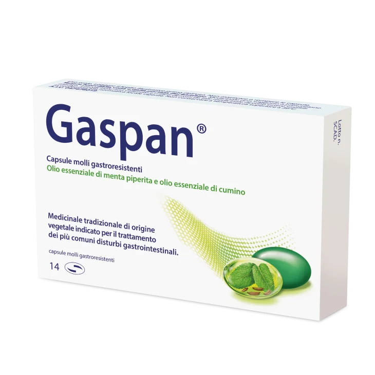 GASPAN*14 cps molli gastrores 90 mg + 50 mg