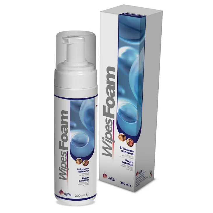 Wipes Foam 200 Ml