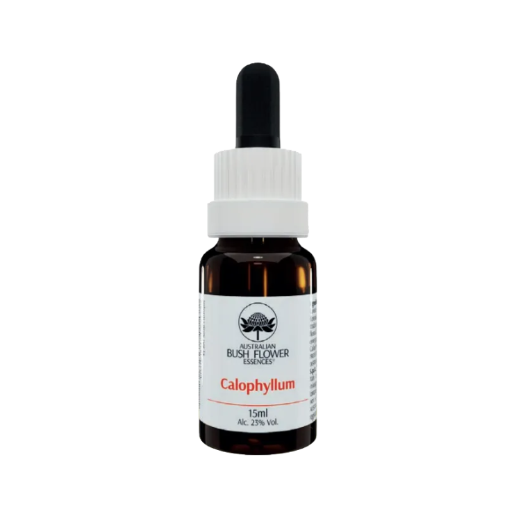 Australian Bush Flower Calophyllum Essenza floreale 15 ml