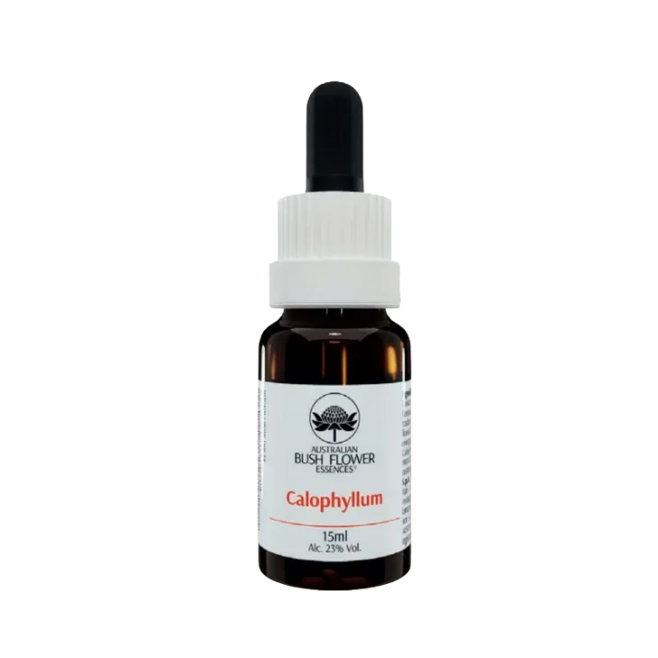 Australian Bush Flower Calophyllum Essenza floreale 15 ml