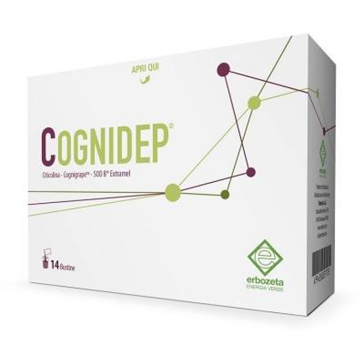 COGNIDEP 14 BUSTINE