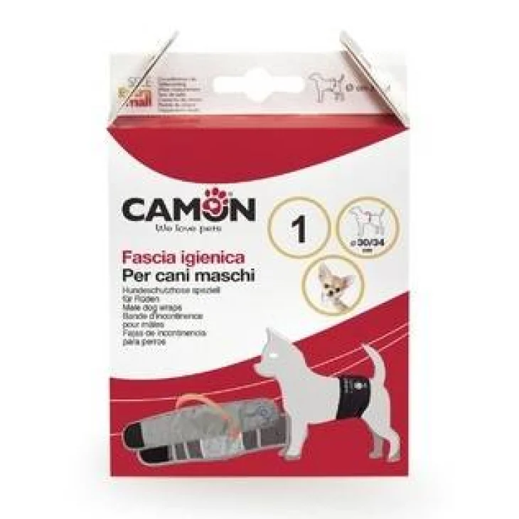FASCIA PER CANI MASCHI GRIGIA 2