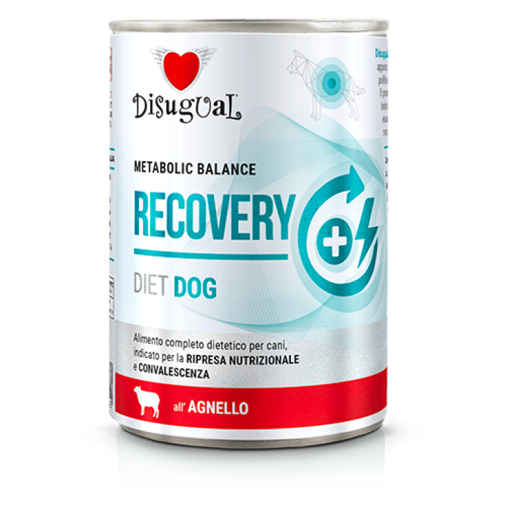 Disugual Dog Recovery Alimento Completo per Cani Gusto Agnello 400 g