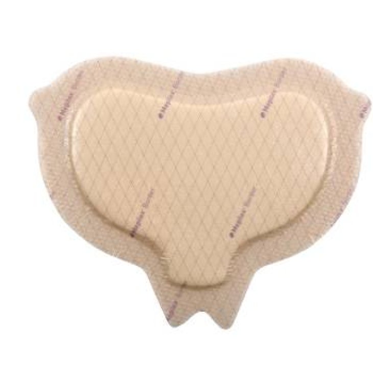 Mepilex Border Sacrum Medicazione Assorbente in Schiuma di Poliuretano 22X25cm 5 pezzi