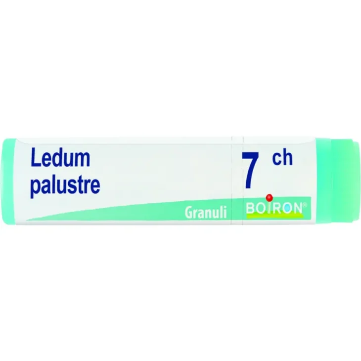 LEDUM PALUSTRE 7CH GL
