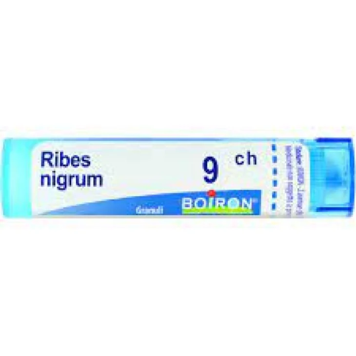 RIBES NIGRUM 9CH GR