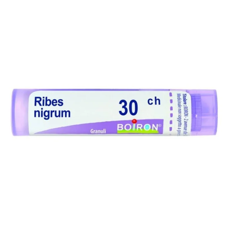 RIBES NIGRUM 30CH GR