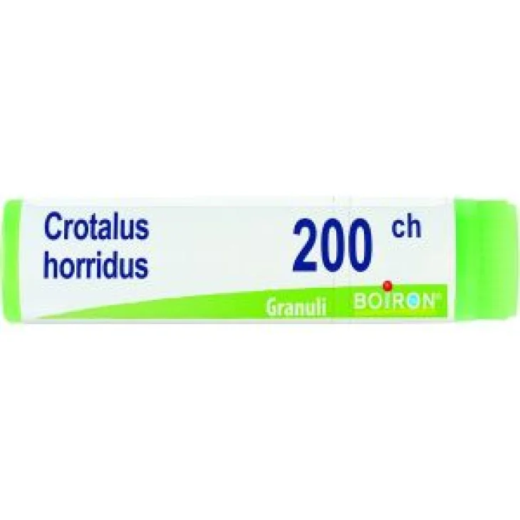 CROTALUS HORRIDUS 200CH GL