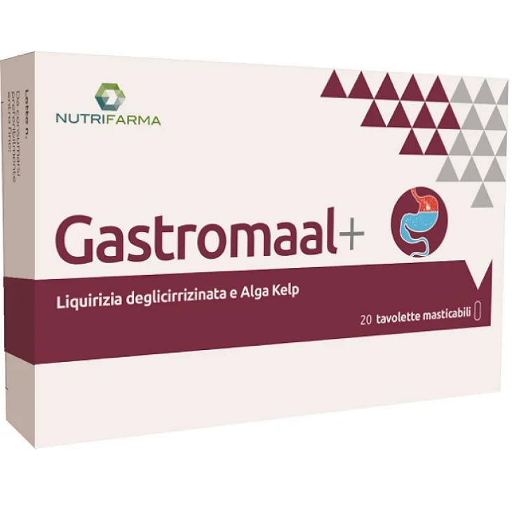 GASTRO MAAL + 20TAV