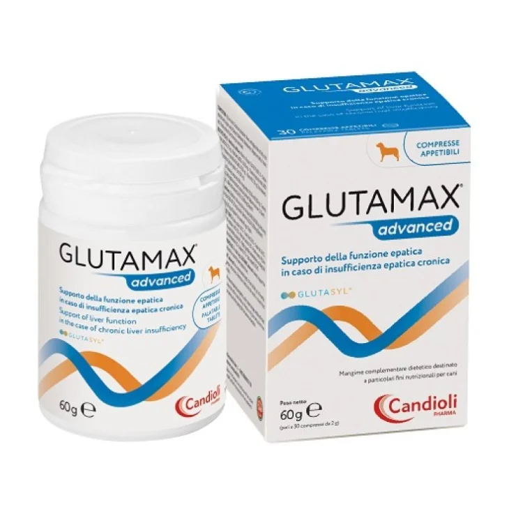 GLUTAMAX ADVANCED PASTA 30 ML