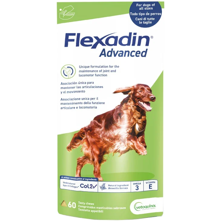 FLEXADIN ADVANCED CANE 60TAV M