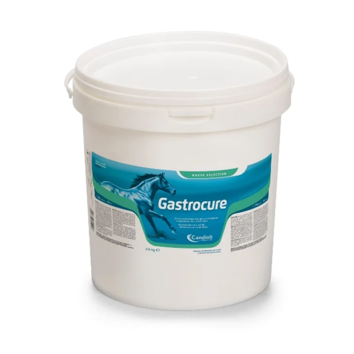 GASTROCURE 2.6 KG