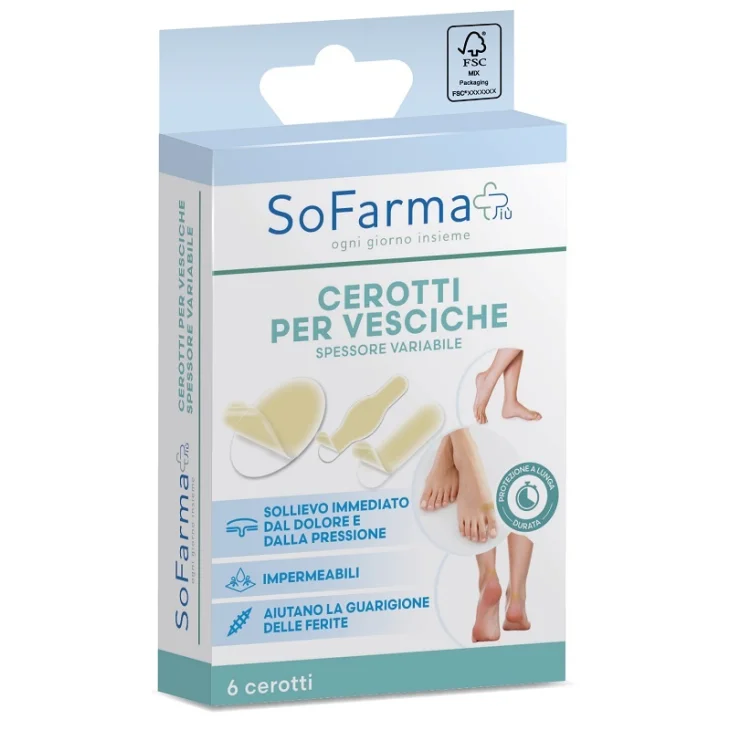 CEROTTO VESCICA ASSORTITO 6P SF+