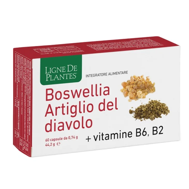 BOSWELLIA ARTIGLIO DIAVOL 60CP