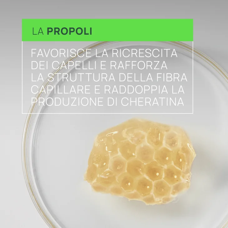 Rene Furterer Triphasic Reactional Trattamento Anticaduta Cambio di Stagione 12 Fiale