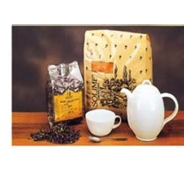 ASSENZIO ROMANO SOMMITA' TAGLIO TISANA 100 G