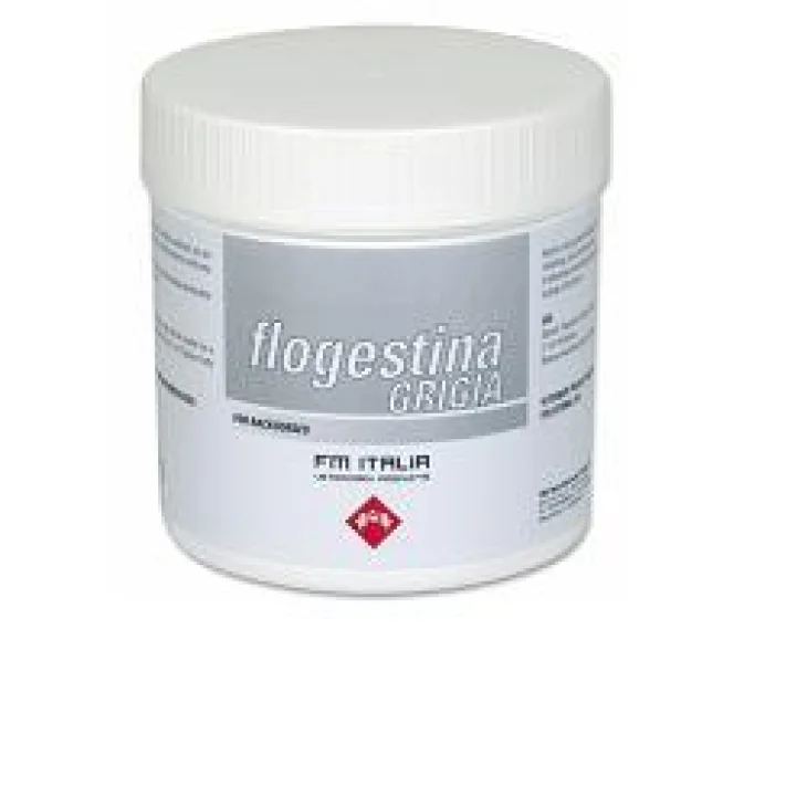 FLOGESTINA GRIGIA PASTA 1 KG FLOGESTINA GRIGIA PASTA 1 KG