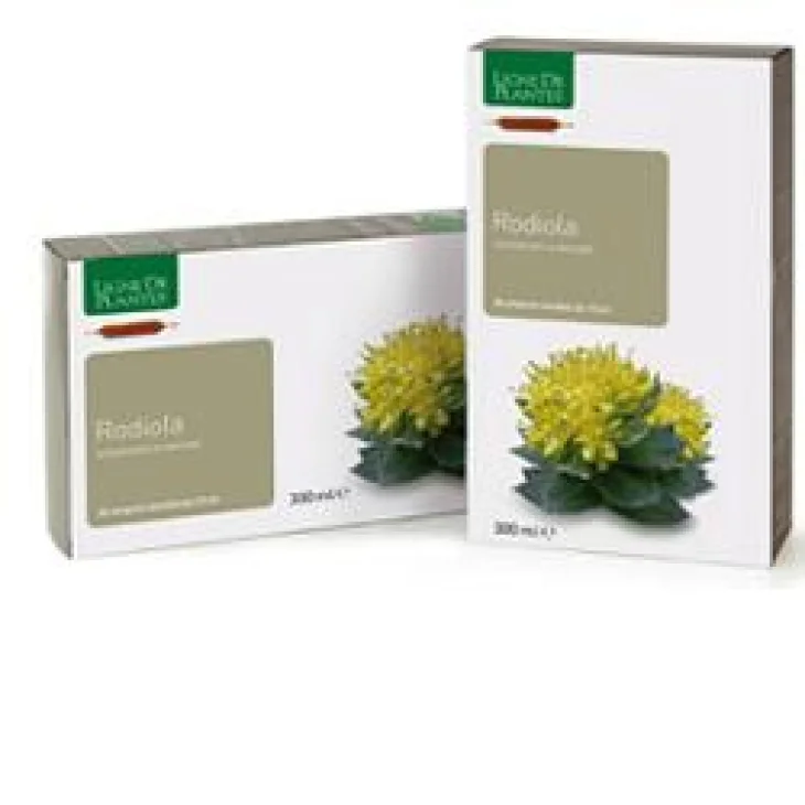 RODIOLA BIOLOGICO 20 AMPOLLE BEVIBILI DA 15 ML