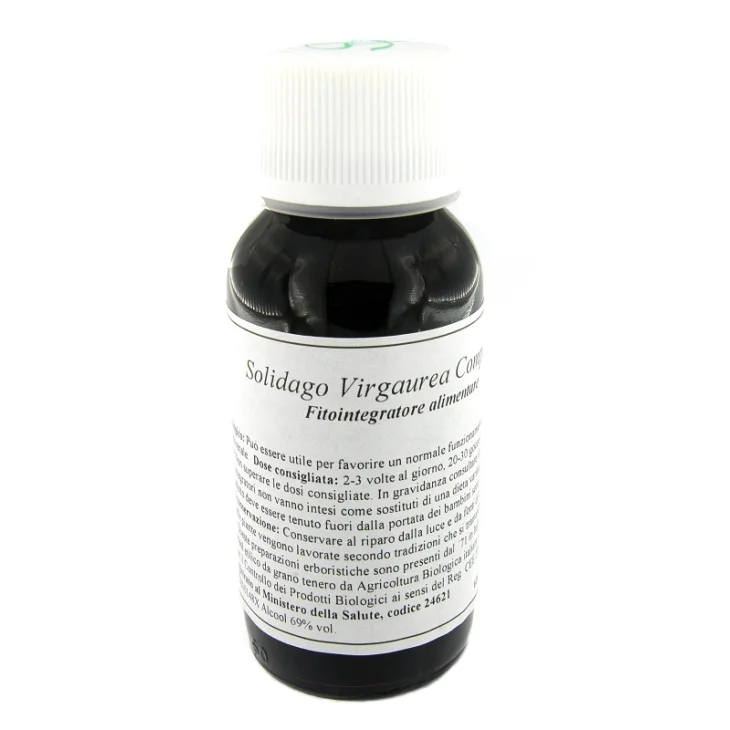 LVS 07N SOLIDAGO VIRGAUREA COMPOSITUM LVS 07N SOLIDAGO VIRGAUREA COMPOSITUM