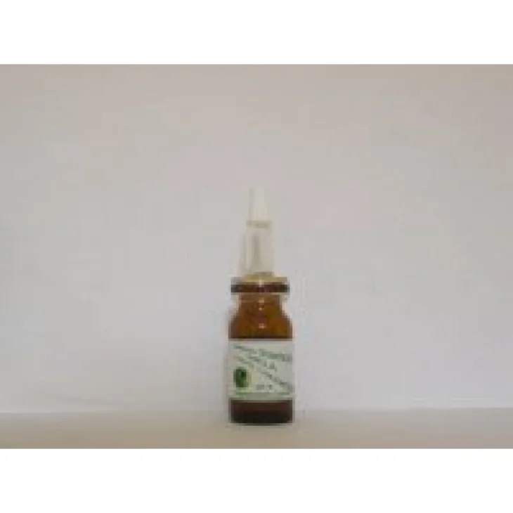 SIDEA STAMINALI UVA SIERO CONCENTRATO 10 ML
