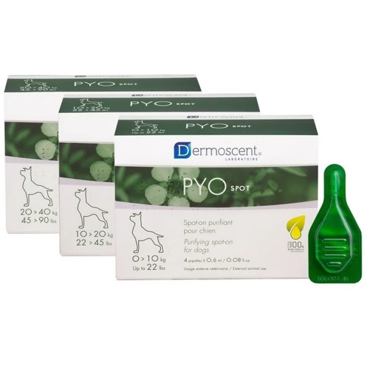 PYO SPOT CANE 20-40 KG