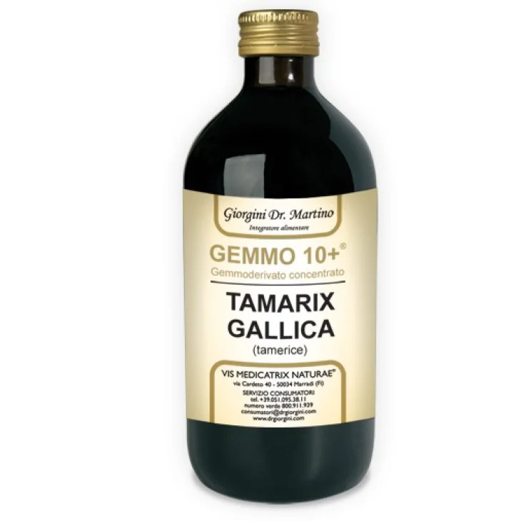 GEMMO 10+ GEMMODERIVATO CONCENTRATO LIQUIDO ANALCOLICO TAMARIX GALLICA TAMERICE 500 ML GEMMO 10+ GEMMODERIVATO CONCENTRATO LIQUIDO ANALCOLICO TAMARIX GALLICA TAMERICE 500 ML