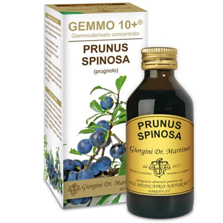 GEMMO 10+ PRUGNOLO 100 ML LIQUIDO ANALCOLICO