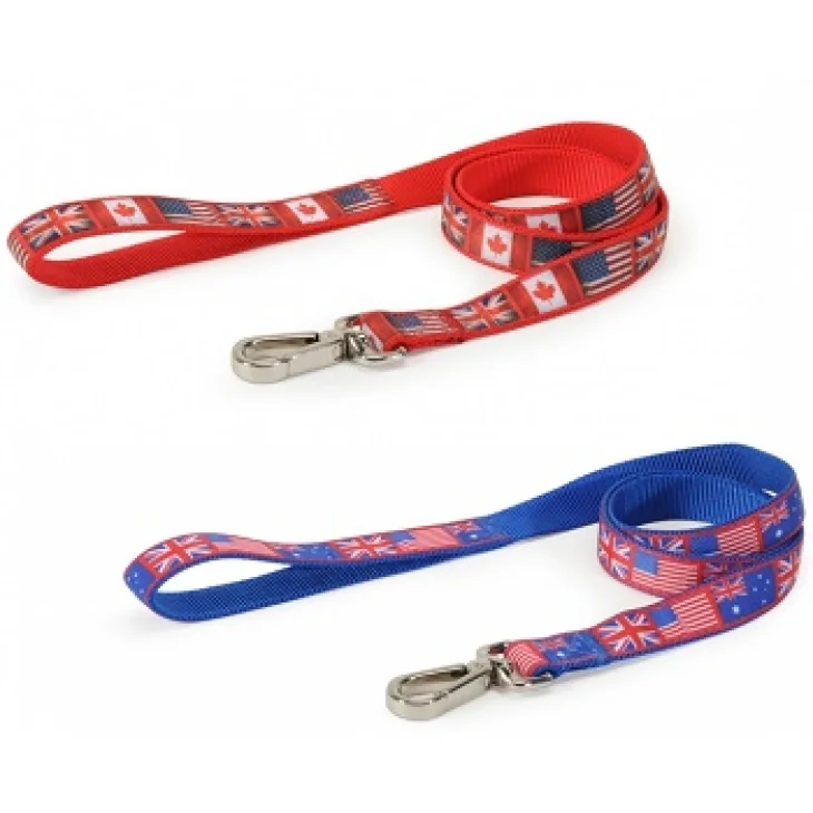 GUINZAGLIO PER CONDUZIONE FLAG BLU 25 X 1200 MM