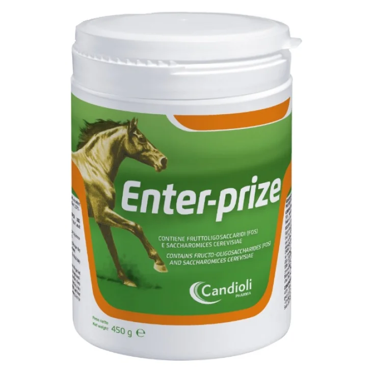 ENTER-PRIZE 450 GR