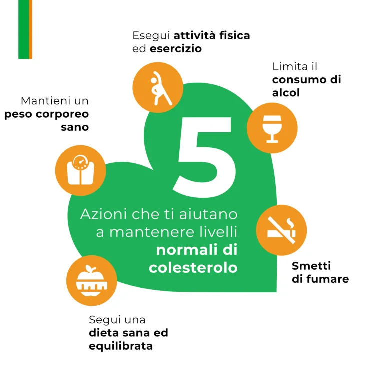 Armolipid Plus Integratore per il Controllo del Colesterolo 70 compresse 70 giorni di trattamento