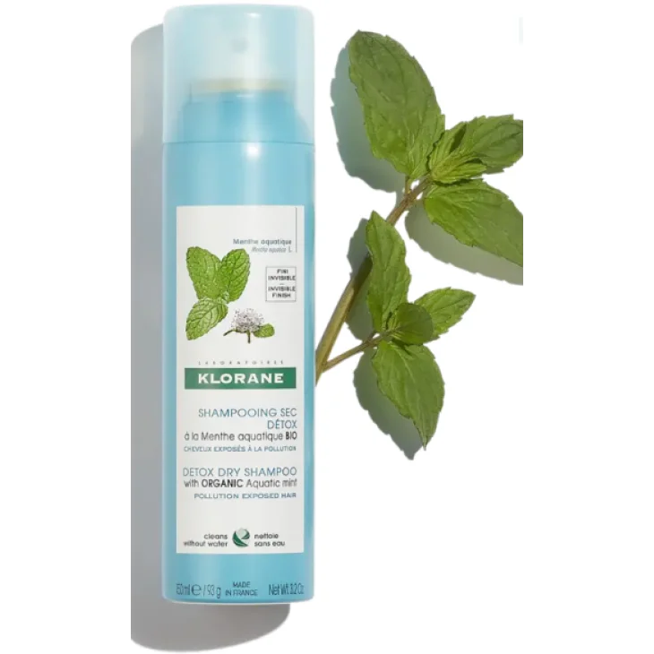 Shampoo Secco Detox alla Menta Acquatica BIO 100 ml