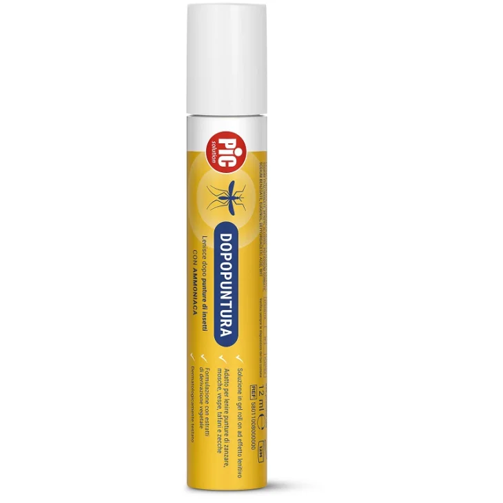 PIC SOLUTION DOPOPUNTURA AMMON