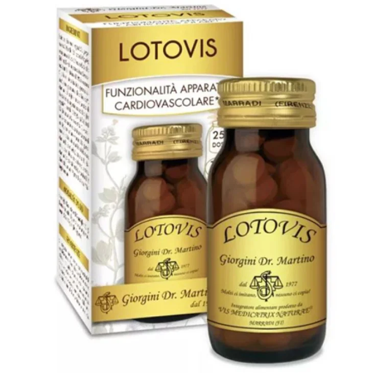 LOTOVIS 100PAST LOTOVIS 100PAST