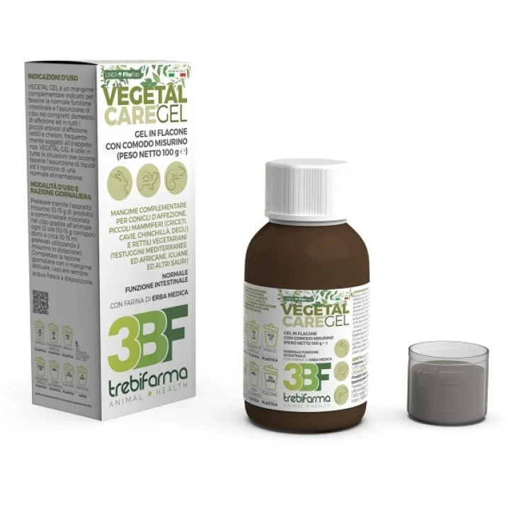 VEGETAL CARE GEL 100G