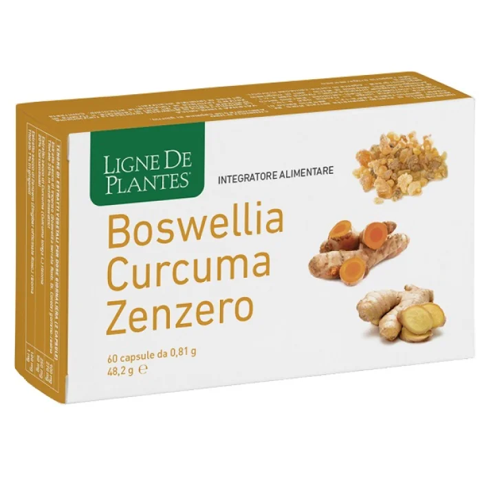BOSWELLIA/CURC/ZENZ.60Cps NSE