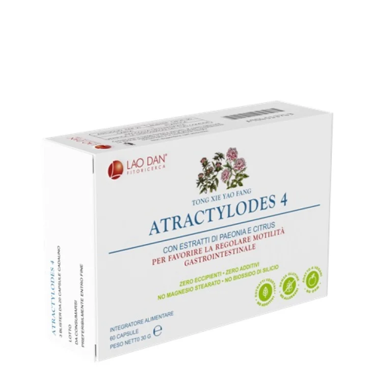 ATRACTYLODES*4 60 Cpr ATRACTYLODES*4 60 Cpr
