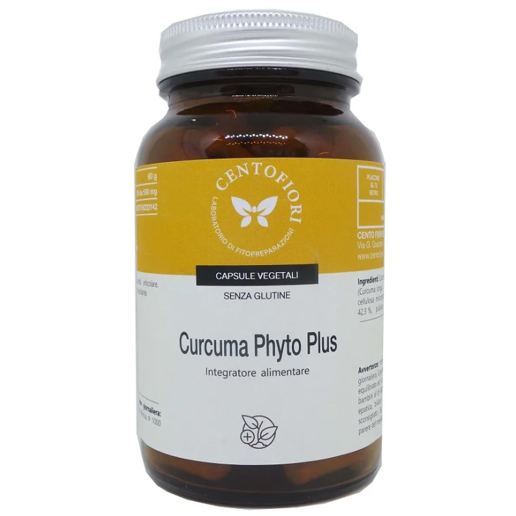 CURCUMA PHYTO PLUS 100CPS VEG