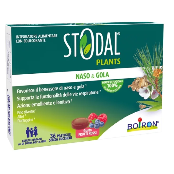 Boiron Stodal Plants Frutti Rossi Integratore Per La Salute Respiratoria Di Naso E Gola 36 Pastiglie