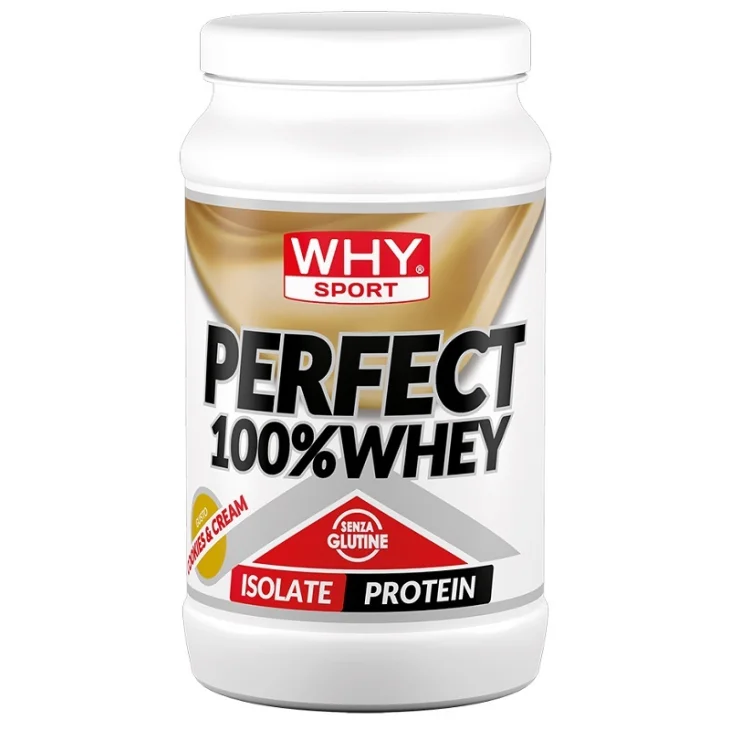 WHYSPORT PERFECT 100% WHEY COOKIES 450 G
