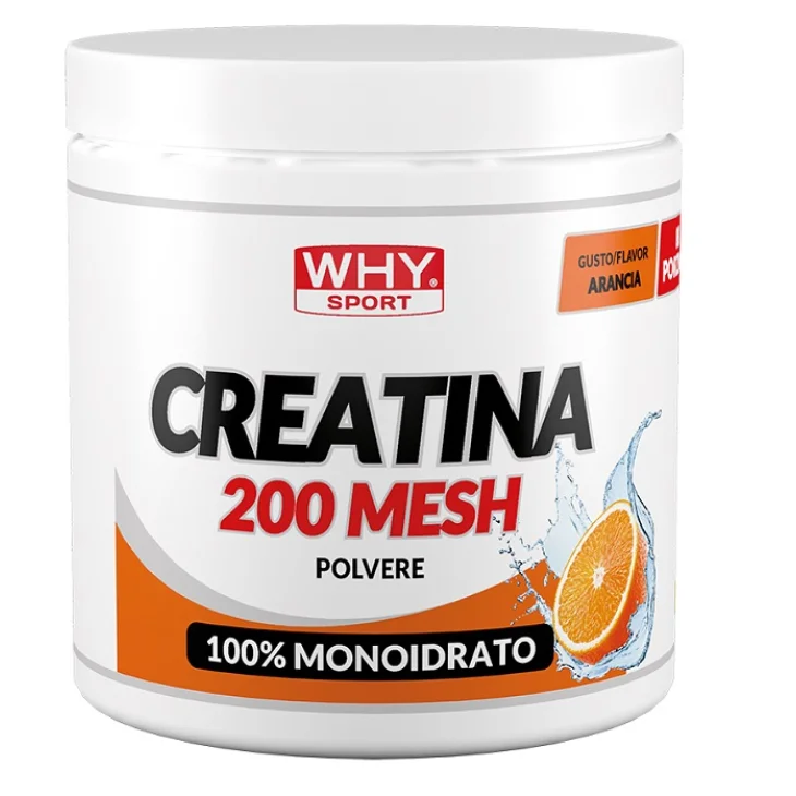 Whysport Creatina 200 Mesh Aromatizzata Gusto Arancia Creatina Monoidrato 300 g