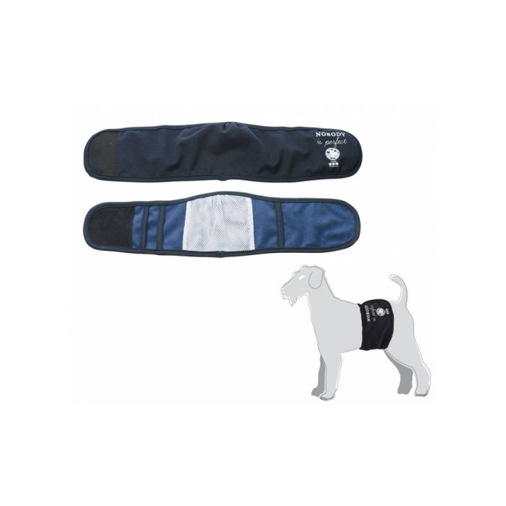 Camon Fascia Igienica per Cani Maschi - Misura: 1
