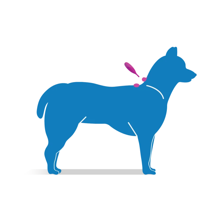 Frontline Tri-Act Antiparassitario per cani 3 pipette - Formato: 0.5 ml (peso da 2 a 5 kg)