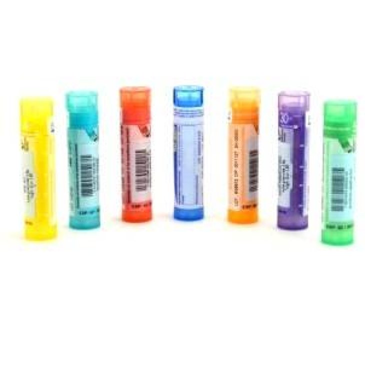 Laboratoro Sodini Epsilon Phytol 15 CH 1G GL