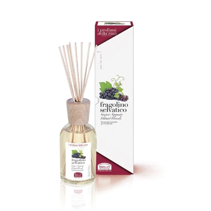 Helan Bastoncini Aromatici per la Casa Fragolino Selvatico 250 ml