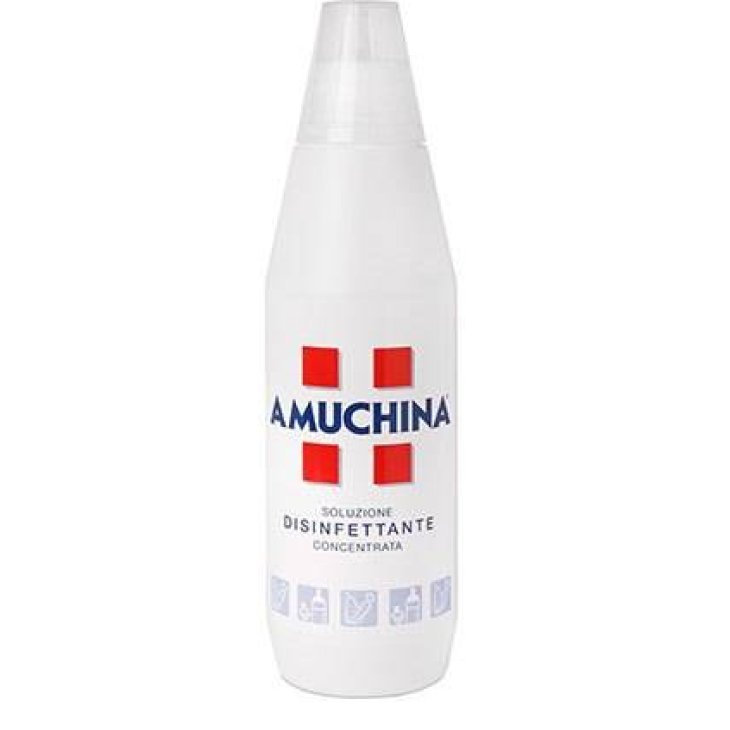 Amuchina Soluzione Disinfettante Concentrata 1 Lt