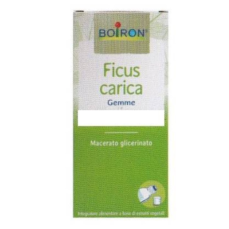 Boiron Ficus Carica Macerato Glicerico 60 ML