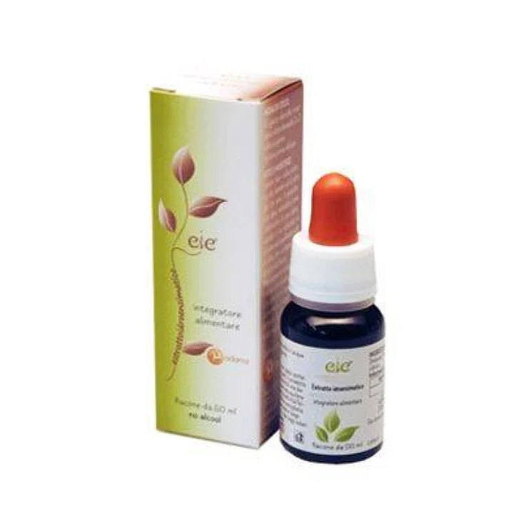 Adama E.I.E. Boswellia Estratto Idroenzimatico Integratore Alimentare per le Articolazioni e l'Apparato Digerente 60 ml